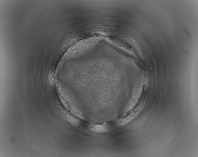 X0000111190285200907221116