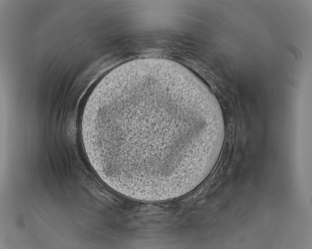 X0000111190290200907221115