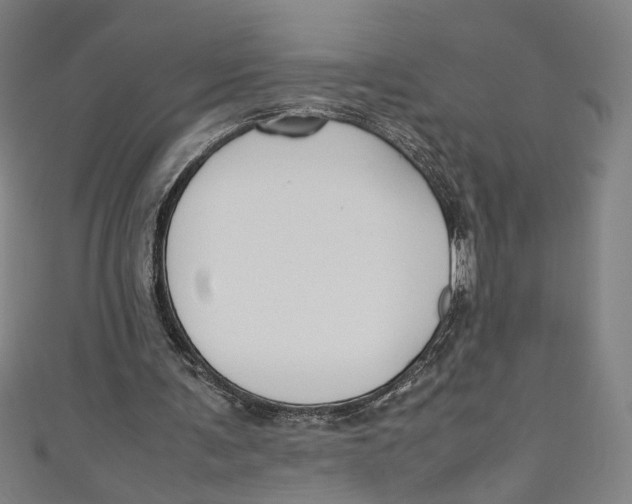 X0000111190291200907221115