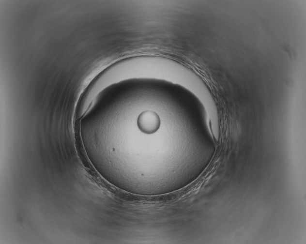 X0000111190292200907221115