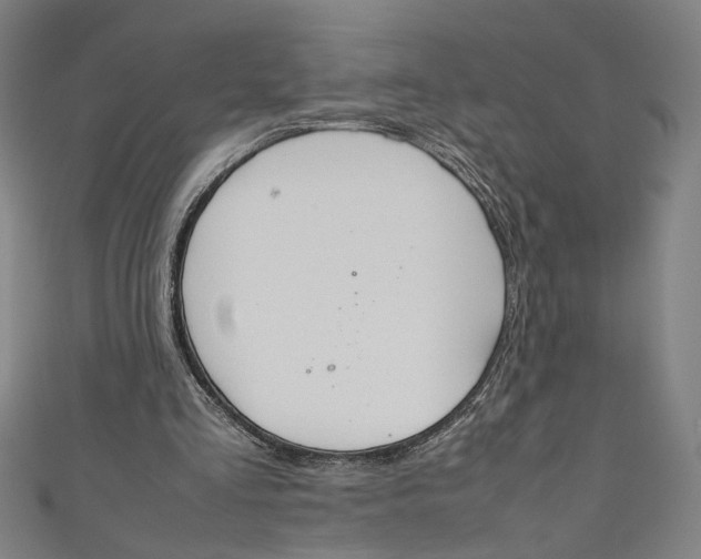 X0000111190293200907221115