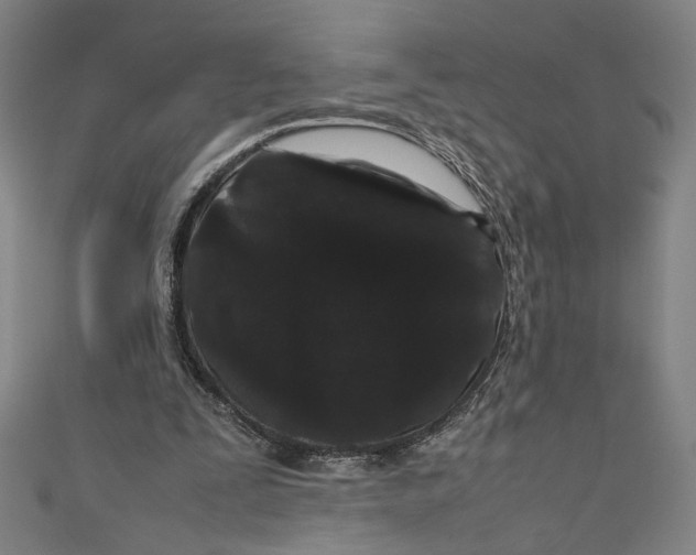 X0000111190295200907221115