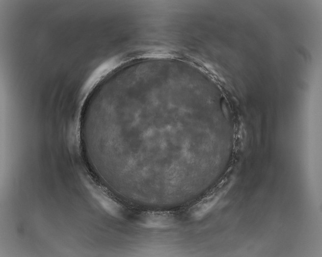 X0000111190296200907221115