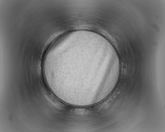 X0000111190298200907221115