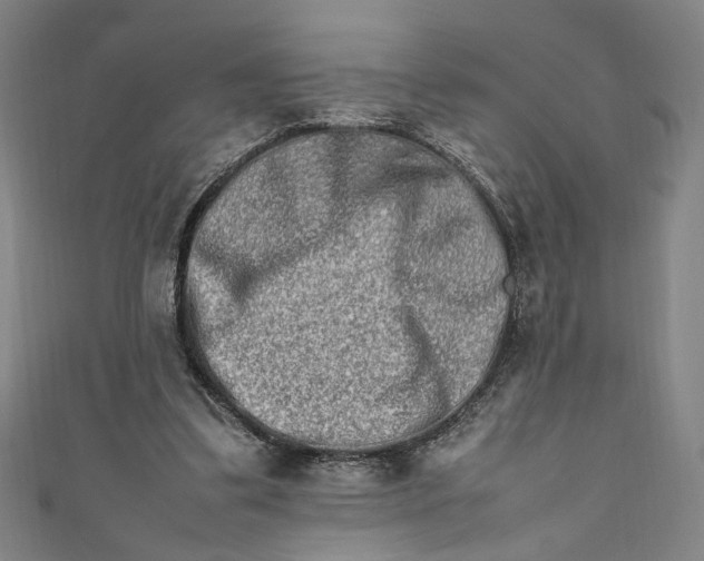 X0000111190299200907221115