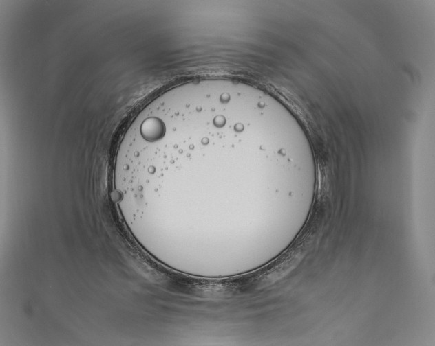 X0000111190301200907221115