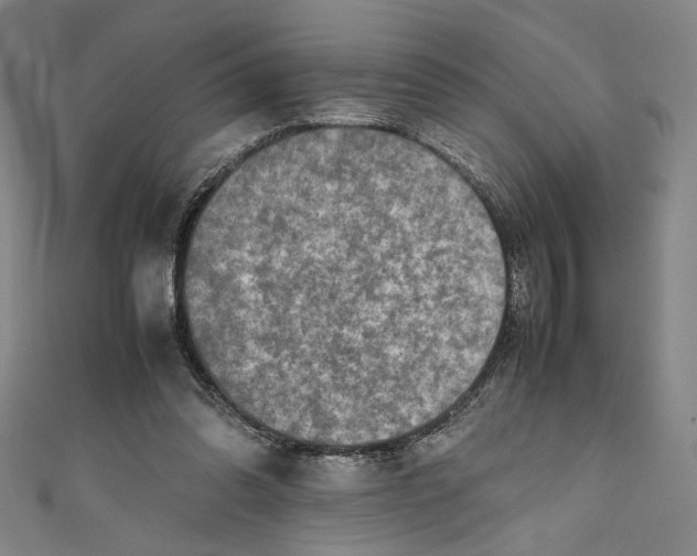 X0000111190302200907221115