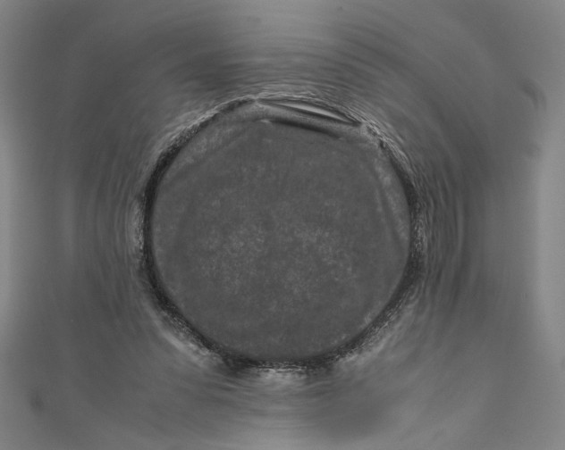 X0000111190303200907221115