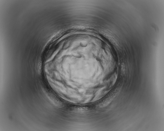 X0000111190304200907221115