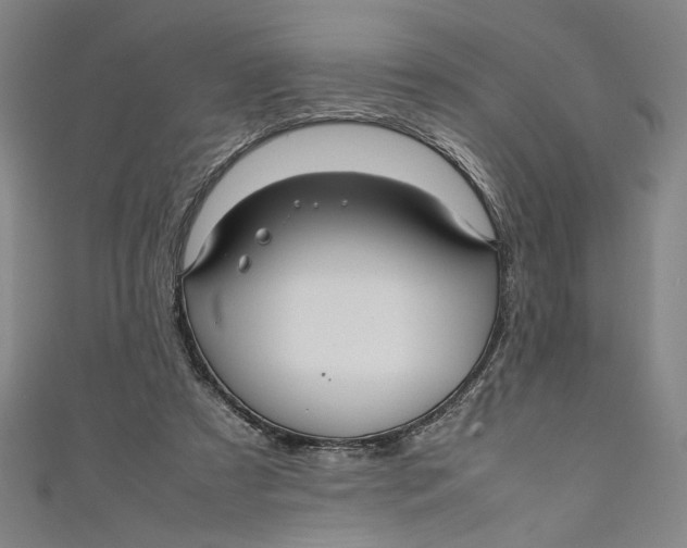 X0000111190305200907221115