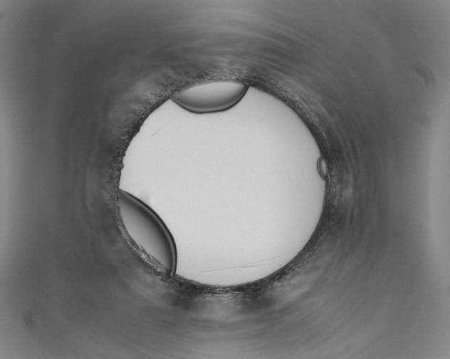 X0000111190307200907221115