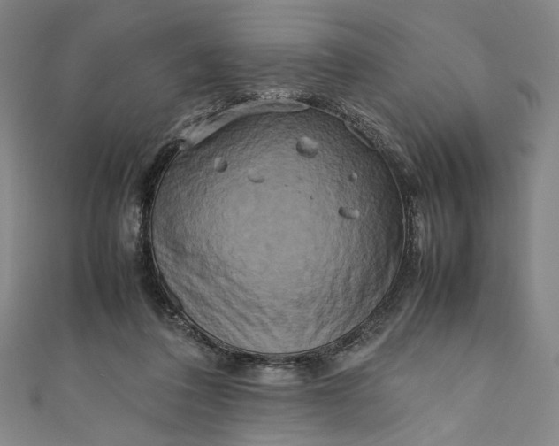 X0000111190308200907221115