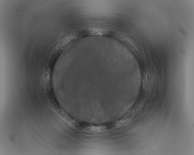 X0000111190314200907221115