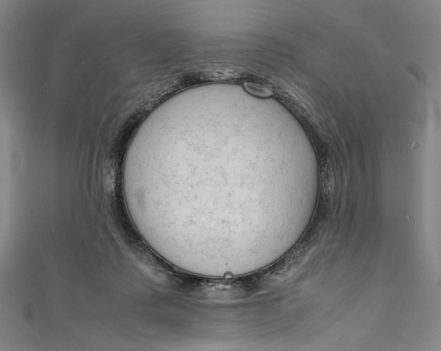 X0000111190315200907221115