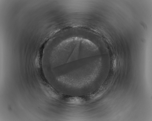 X0000111190316200907221115