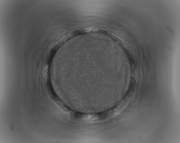 X0000111190319200907221114