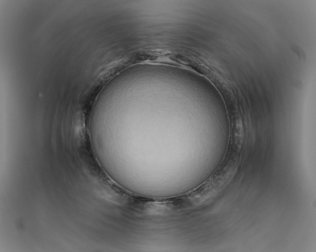 X0000111190320200907221114