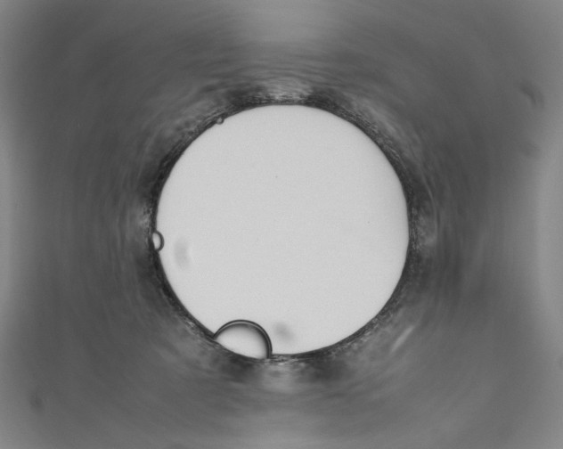 X0000111190321200907221114