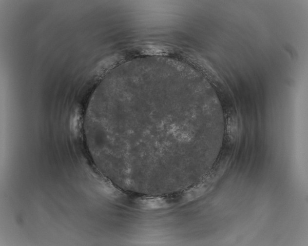 X0000111190322200907221114