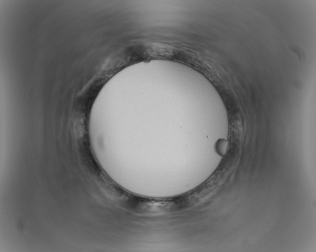 X0000111190323200907221114