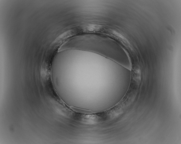 X0000111190324200907221114