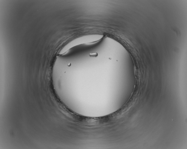 X0000111190325200907221114