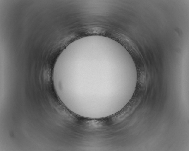 X0000111190326200907221114