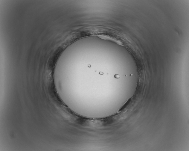 X0000111190327200907221114