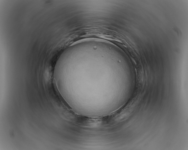 X0000111190328200907221114