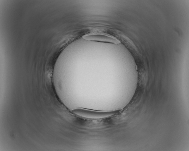 X0000111190329200907221114