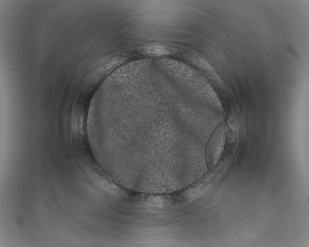 X0000111190330200907221114