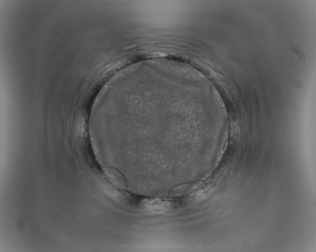 X0000111190331200907221114