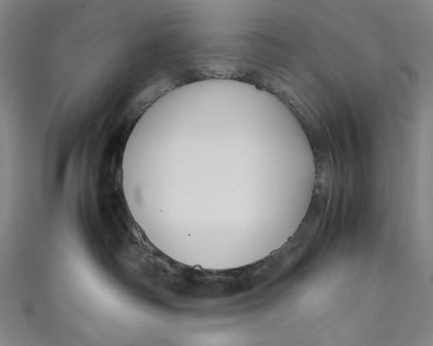 X0000111190334200907221114