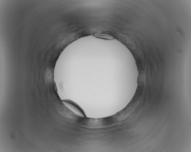 X0000111190335200907221114