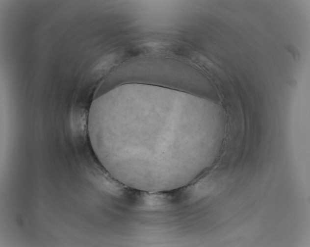 X0000111190336200907221114