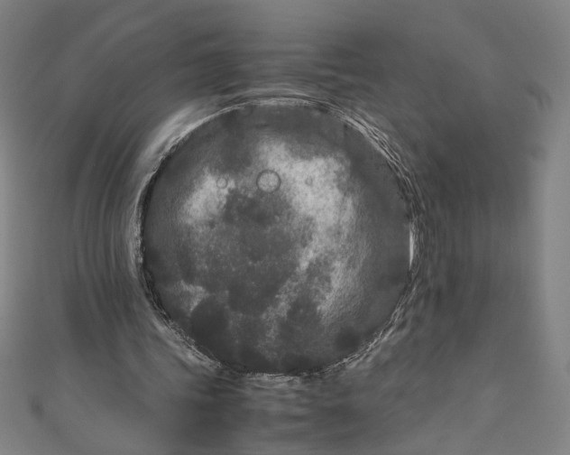 X0000111190339200907221113