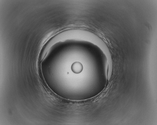 X0000111190340200907221114