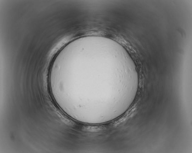 X0000111190341200907221114