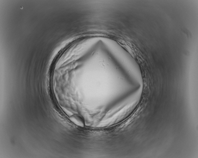 X0000111190342200907221114