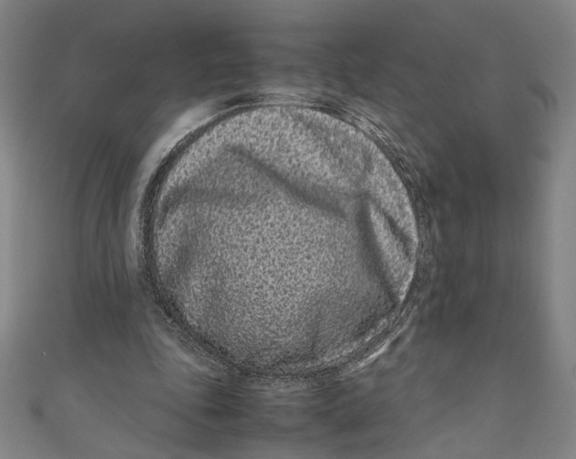 X0000111190343200907221114