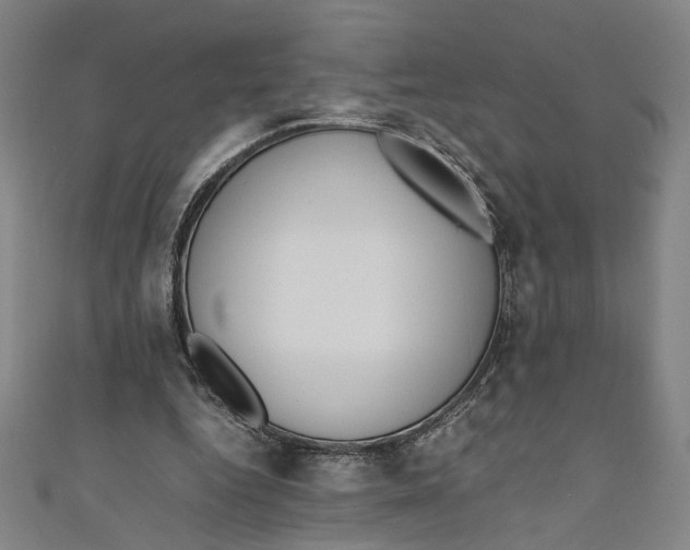 X0000111190344200907221114