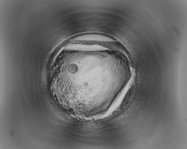 X0000111190347200907221114