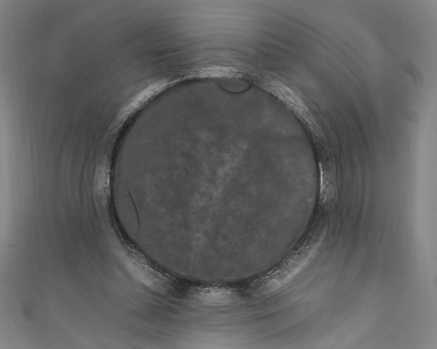 X0000111190348200907221114