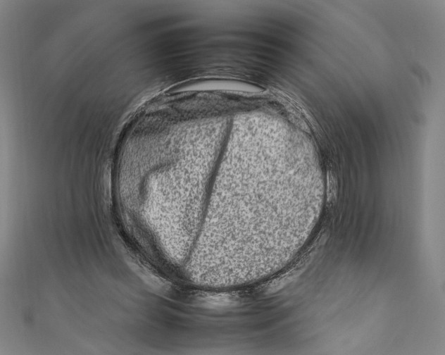 X0000111190349200907221114