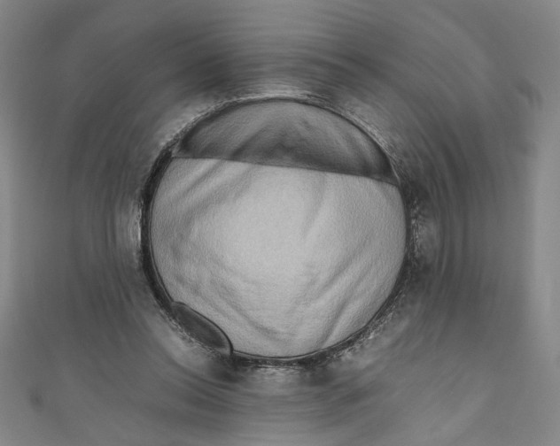 X0000111190350200907221114