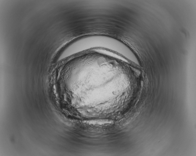 X0000111190351200907221114