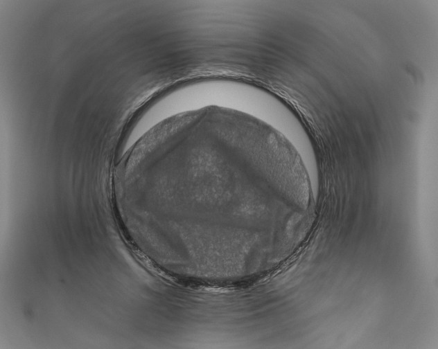 X0000111190352200907221114