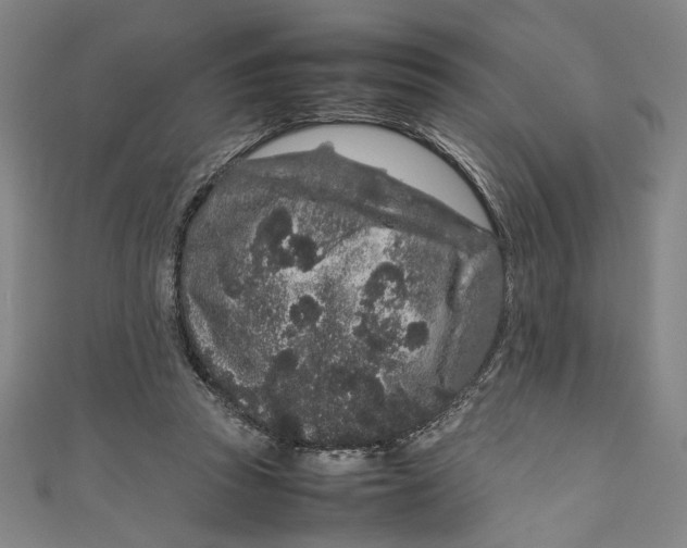 X0000111190353200907221114