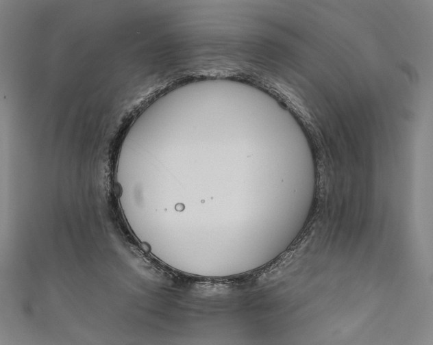 X0000111190354200907221114