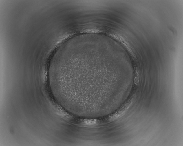 X0000111190355200907221114